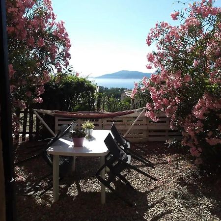 Studio Jardin A Porticcio, Proche Aeroport Ajaccio Apartment Porticcio  Bagian luar foto